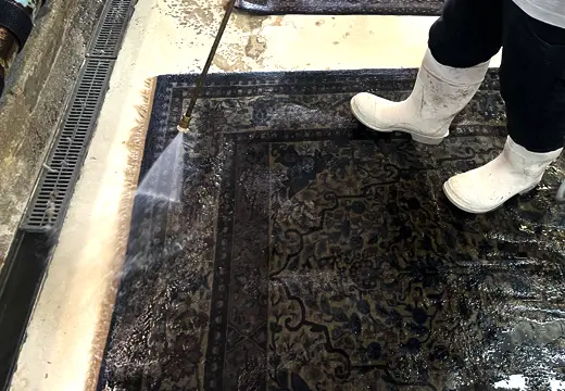 Area Rug Cleaning Services
