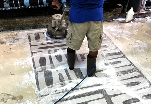 Modern Rug Clean Service Parkland