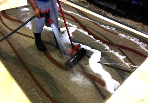 Area Rug Cleaning Services