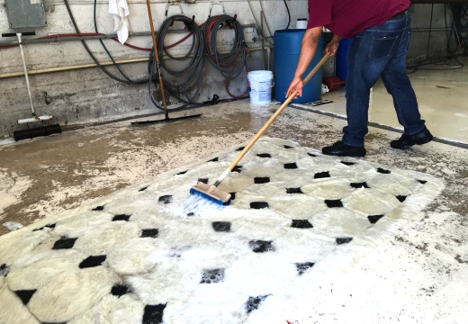 Wool Rug Cleaners