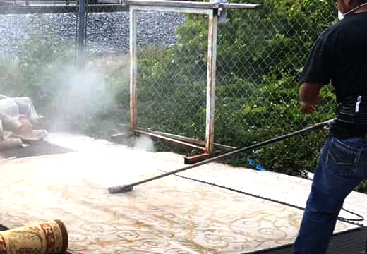 Rug Dust Cleaning