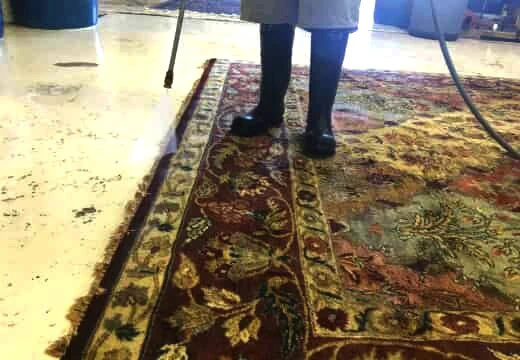 Area Rug Wash Services