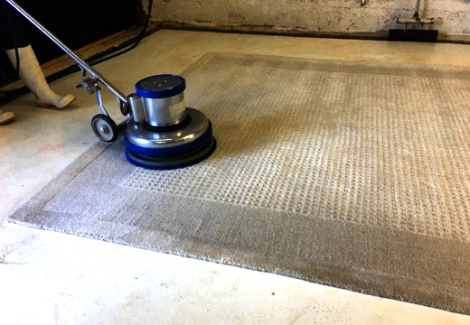 Rug Pet Odor Stain Removal