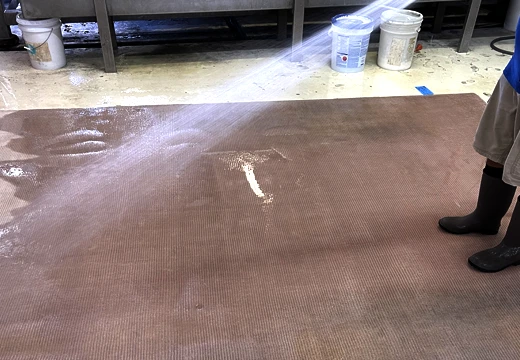 Sisal Rug Washing Services
