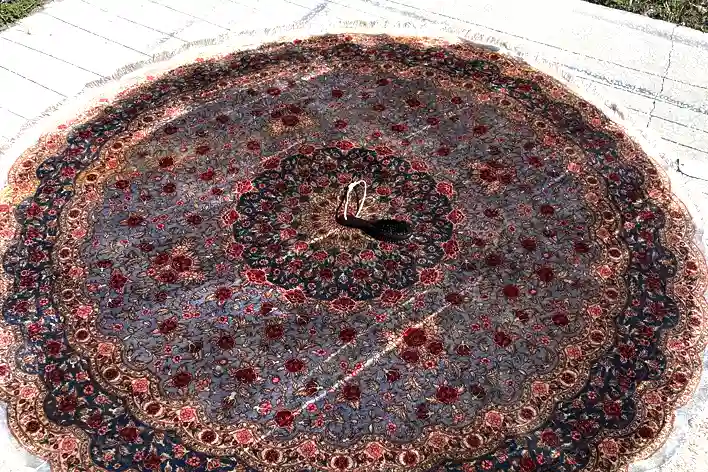 Area Rug Cleaning Service