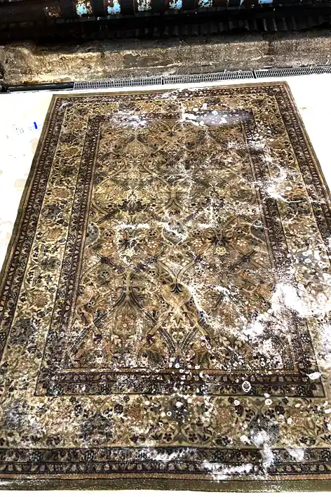 Oriental Rug Care and Clean