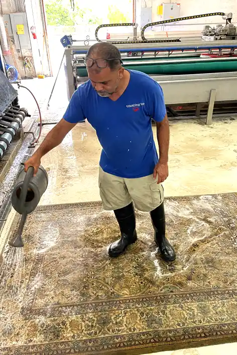 Rug Care and Clean