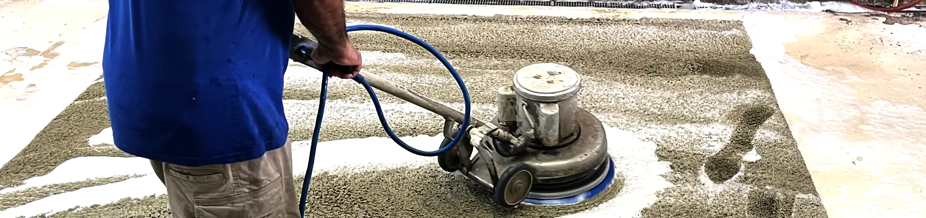 Pet Odor & Stain Removal Services Parkland