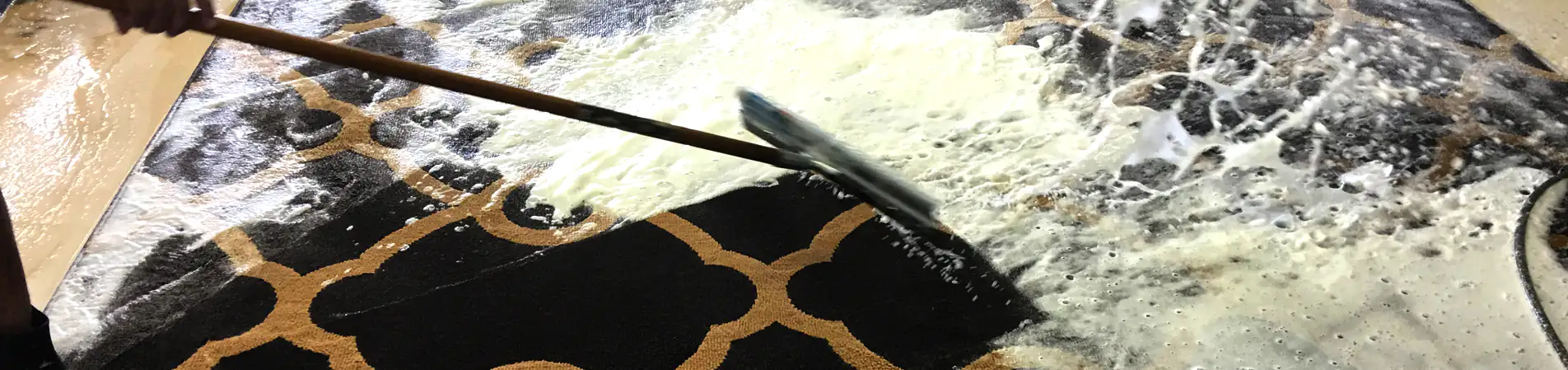 Area Rug Cleaning Services Parkland